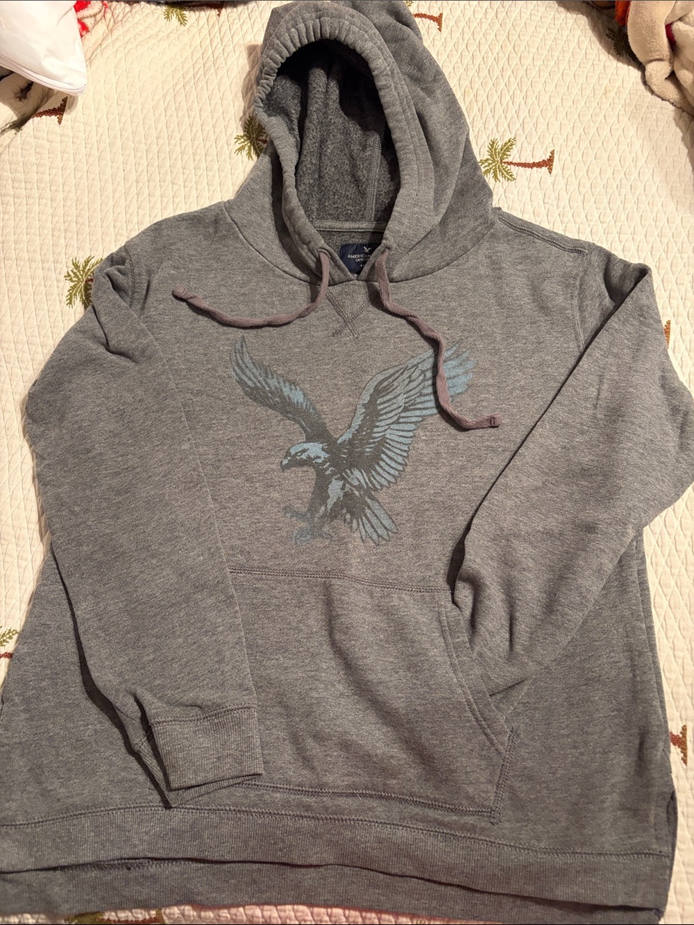 American Eagle Outfitters Gray Hoodie with Eagle Motif